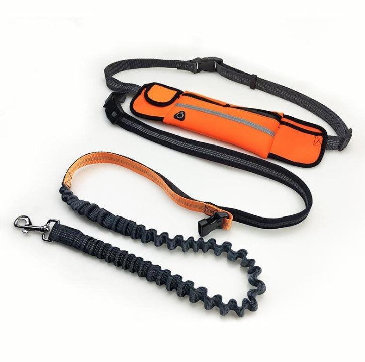 Pawffin Hands-Free Dog Running Leash — Waist Belt with Bungee & Pocket