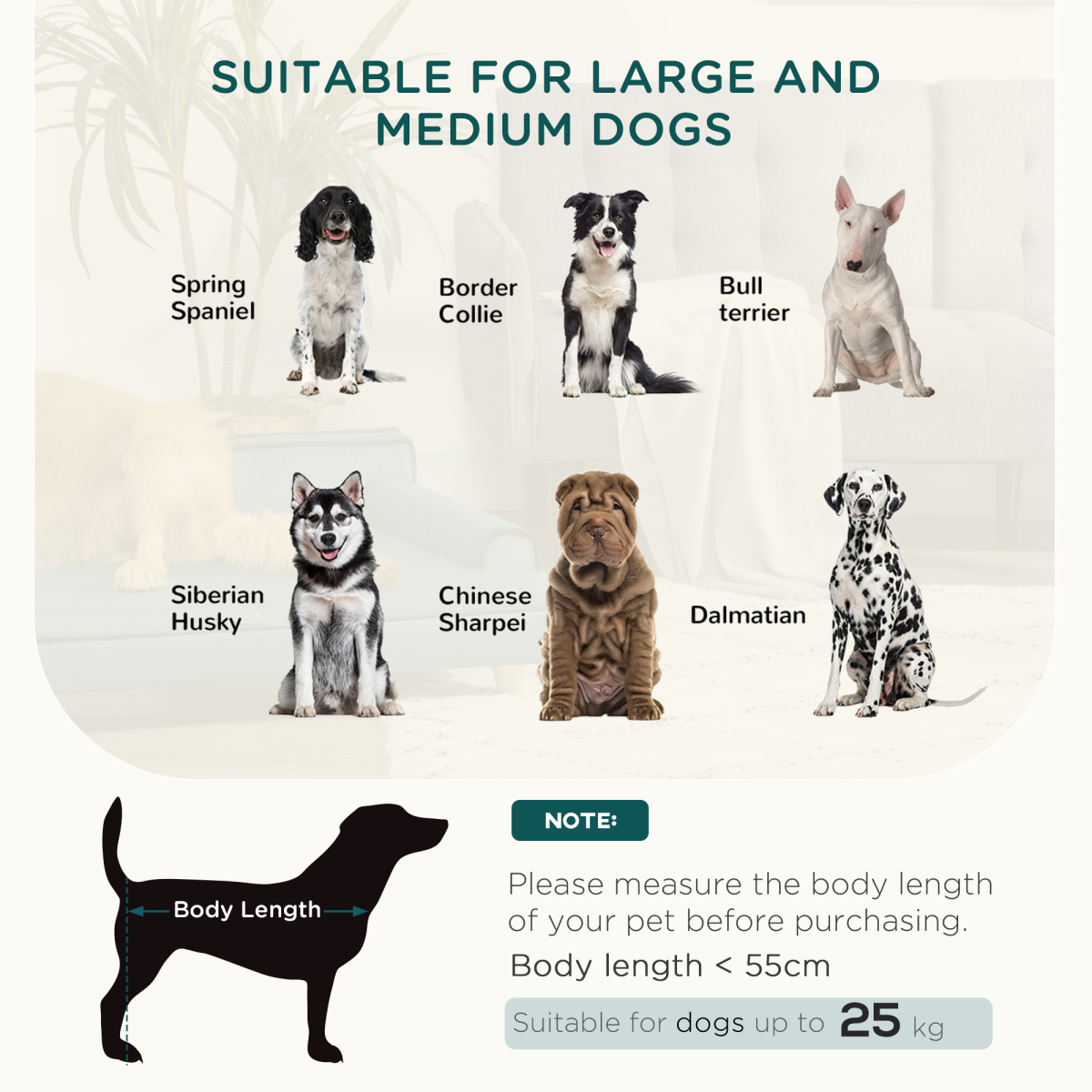 Pawffin Dog Sofa w/ Legs, Water-Resistant Fabric for Large, Medium Dogs - Green